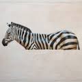 Andante